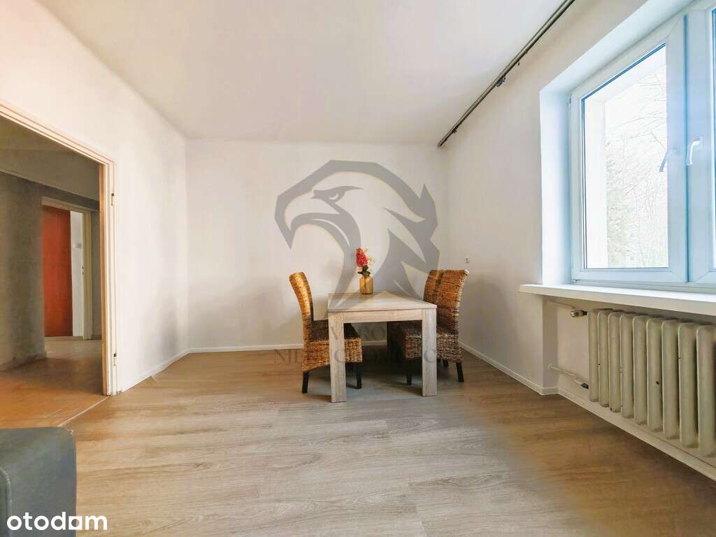 Tajemnica ukrytego Salonu - Pełny obrazek: 3/20