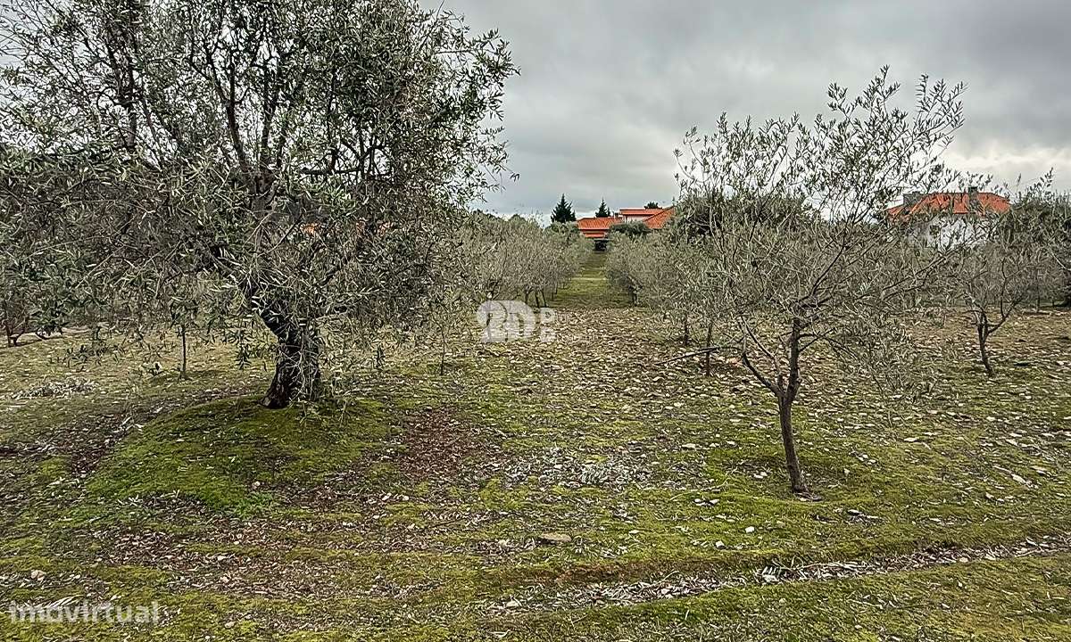 Terreno 5860m² - Pinheiros-15