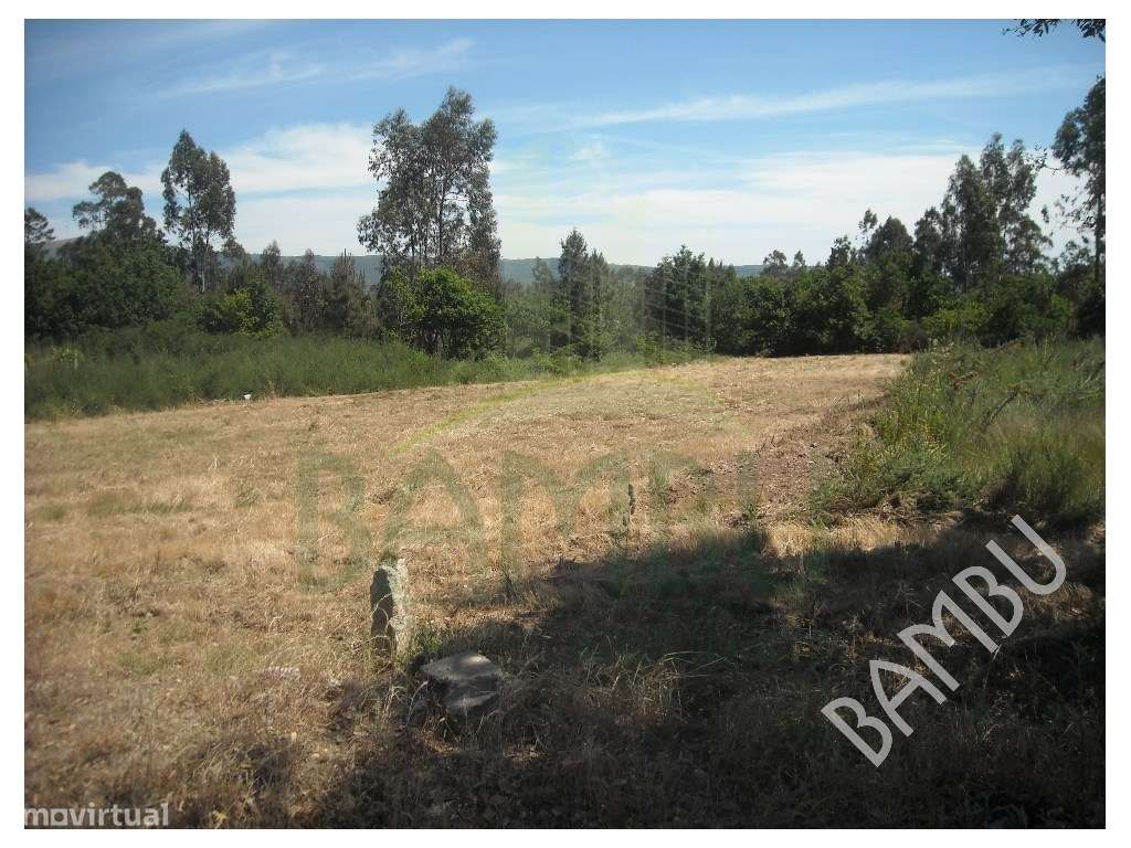 Terreno em Arão! - Grande imagem: 4/6