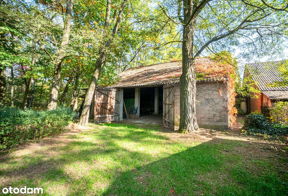 Malownicze siedlisko pod Łowiczem - Pełny obrazek: 4/17