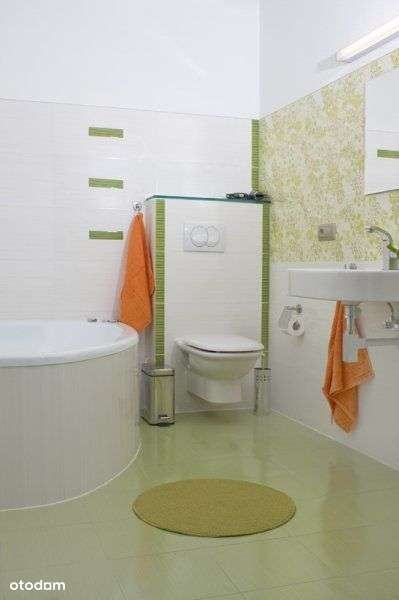 Dom wolnostojący Winogrady- - Pełny obrazek: 5/6