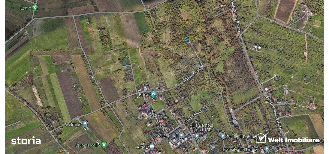 Teren Dambu Rotund 4750 mp, intravilan, UTR TDA_L, posibilitate invest - Imagine principală: 1/4