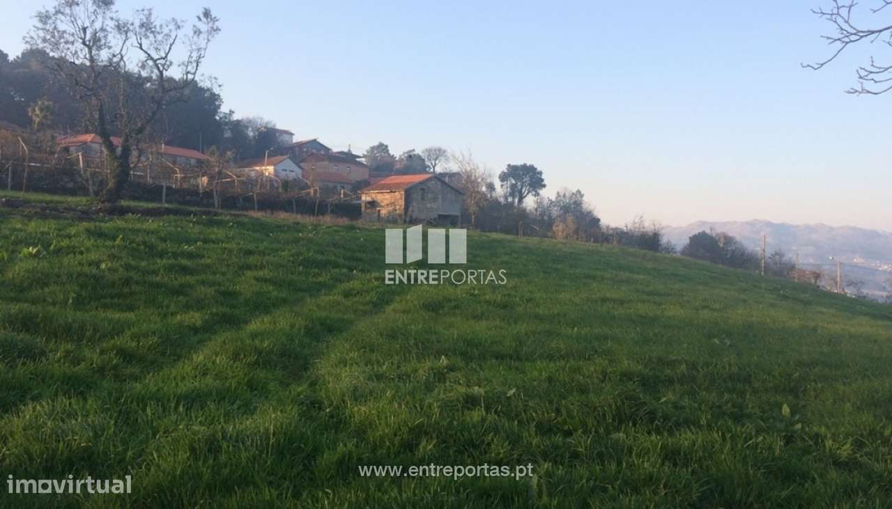 Venda Terreno c/ Moradia para Restauro, Tarouquela, Cinfães - Grande imagem: 5/36