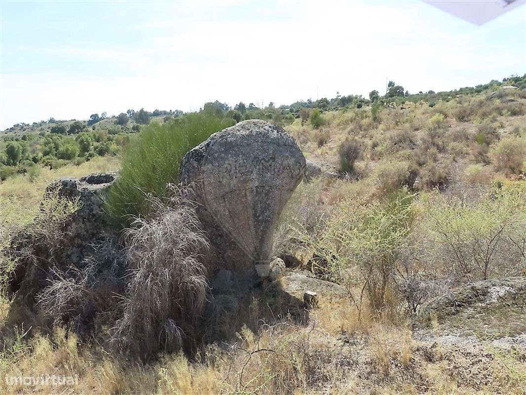 Quinta  para venda-45