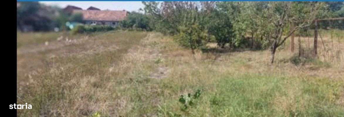 Teren 934 mp Ghimbav - Imagine principală: 5/6