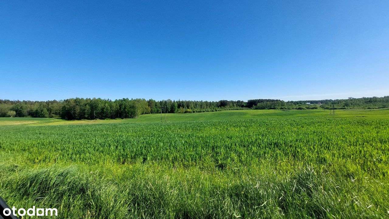 Działka pod zabudowę na Mazurach - Pełny obrazek: 2/5
