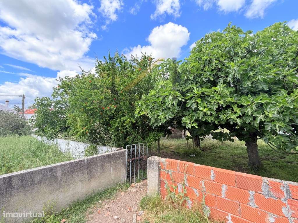 Moradia térrea T5, com terreno de cerca de 5730 m2, Santiago do Esc...-44
