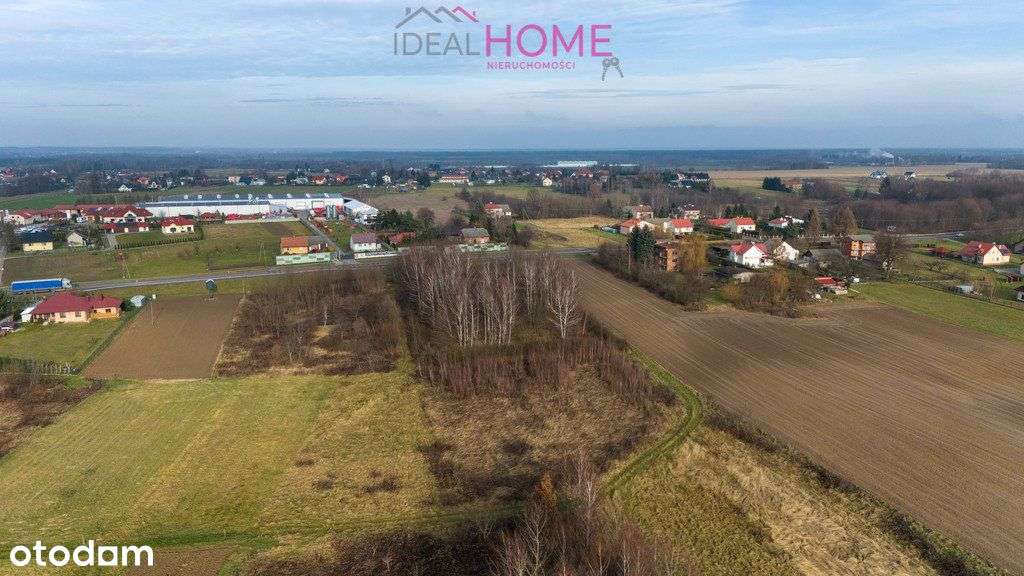 Działka na sprzedaż - Olchowa-6