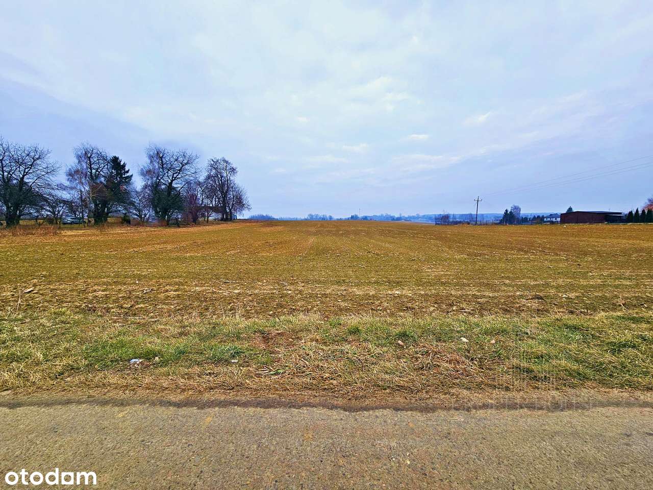 Działka z wydanymi Warunkami Zabudowy - Miłocin - Pełny obrazek: 4/4