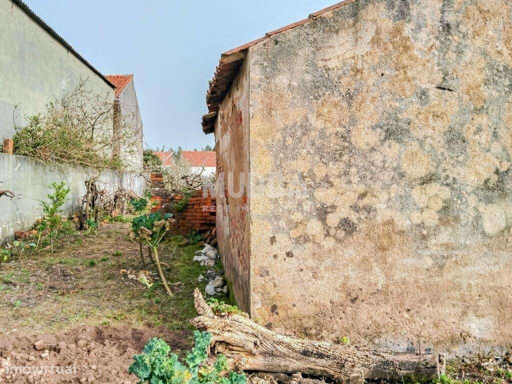 Ruína para recuperar com terreno de 1.050 m2 poço e árvores de fruto A-21