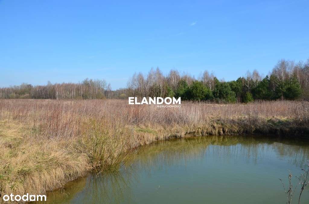 Cisza blisko natury piękny widok - Pełny obrazek: 4/8