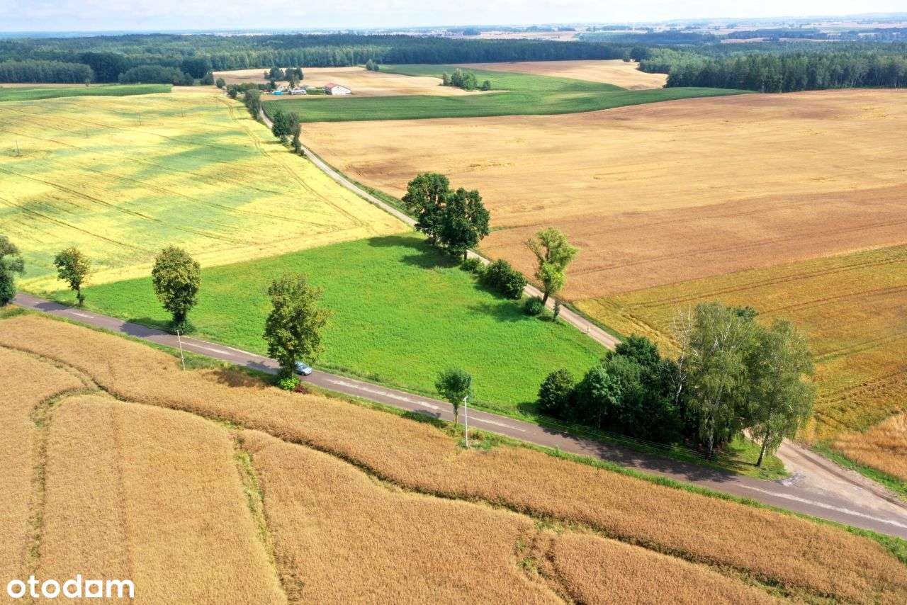 Duża działka - 60 ar-3