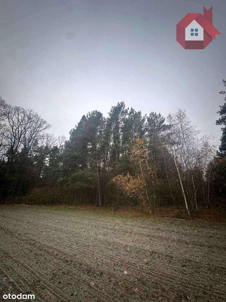 Zadrzewiona działka 2100 m² - 10 minut od Zegrza-5