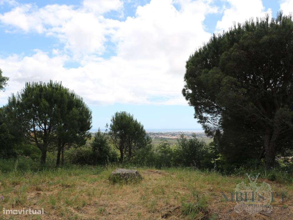 À VENDA: Lote com vista mar em Malveira da Serra - localização elev...-4