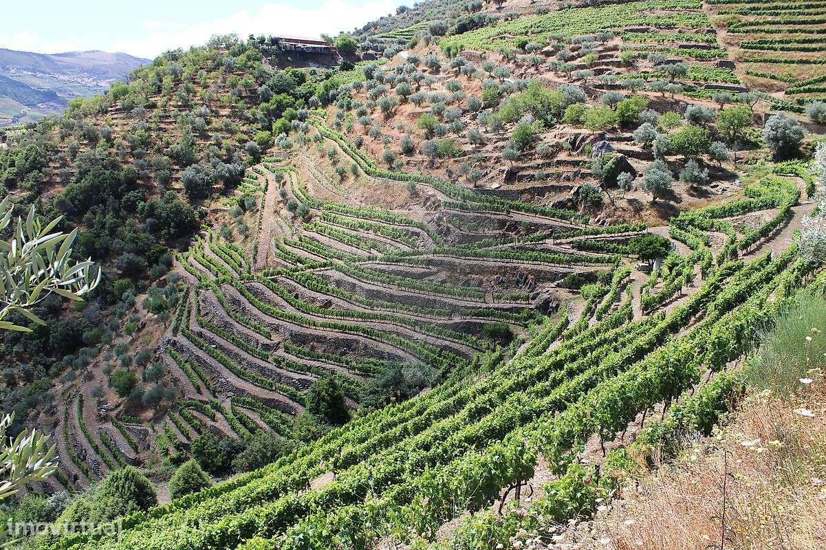 Terreno  para venda - Grande imagem: 5/14