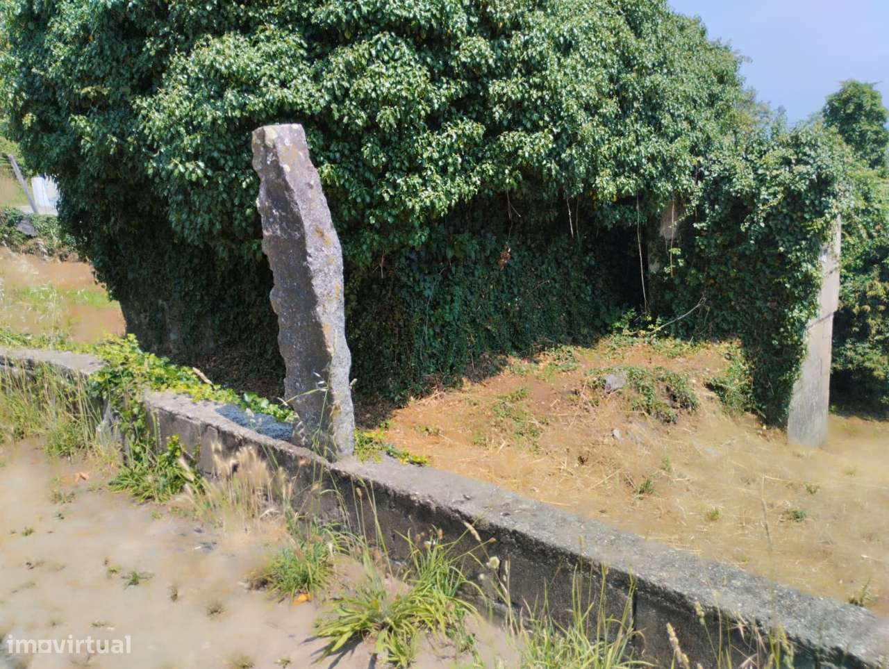 Moradia T2 Venda em Freixo de Cima e de Baixo,Amarante-5
