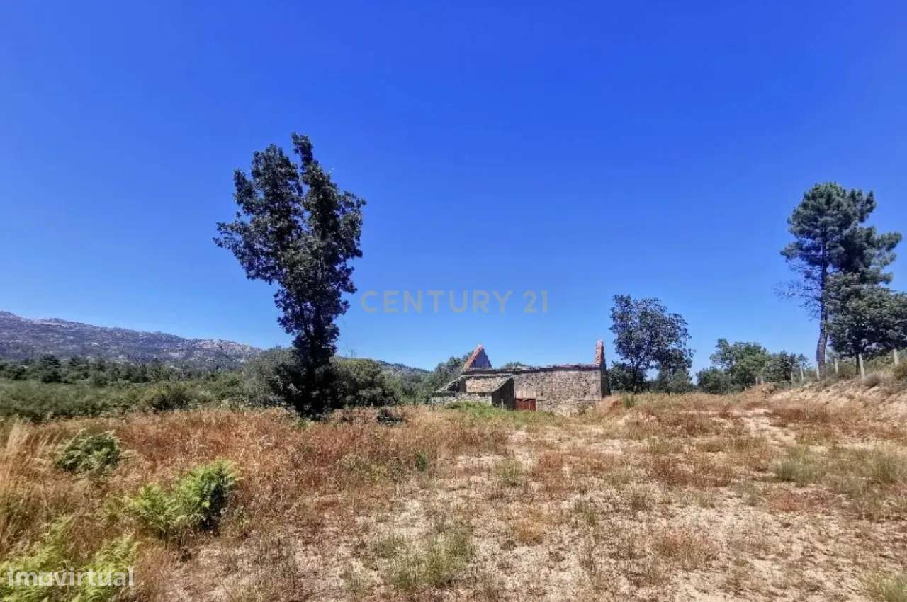 Oportunidade! Quintinha, Soalheira - Grande imagem: 2/8