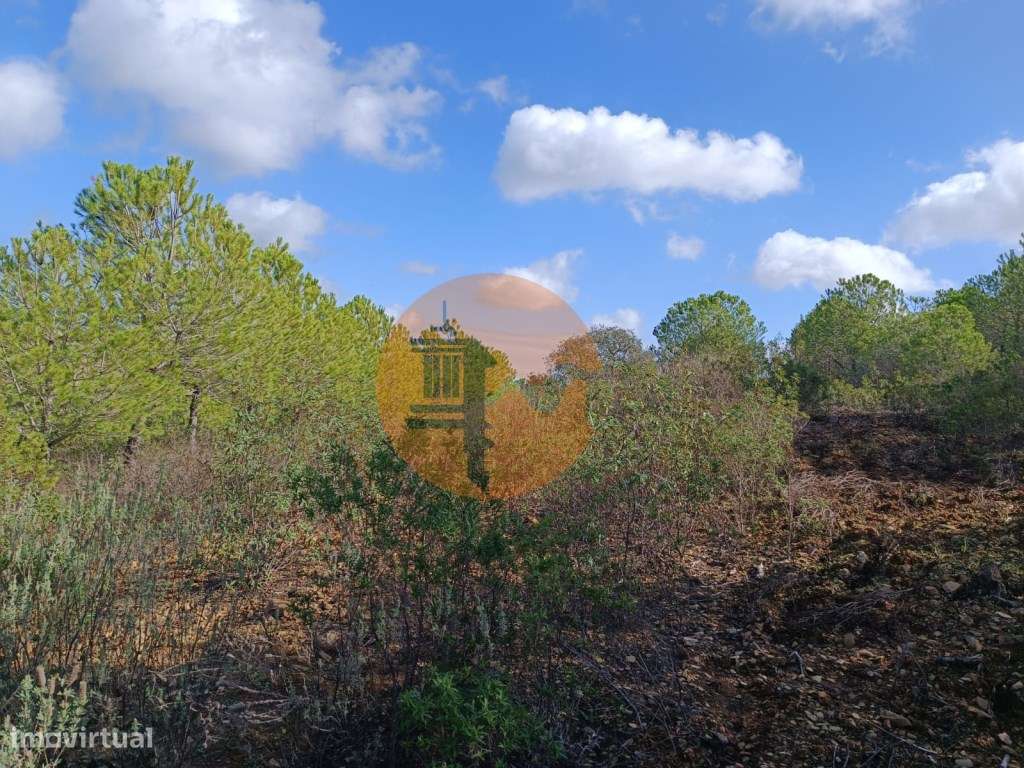 TERRENO RÚSTICO COM 13.120 M2 - TORNEIRO - ALCOUTIM - ALGARVE - Grande imagem: 4/22