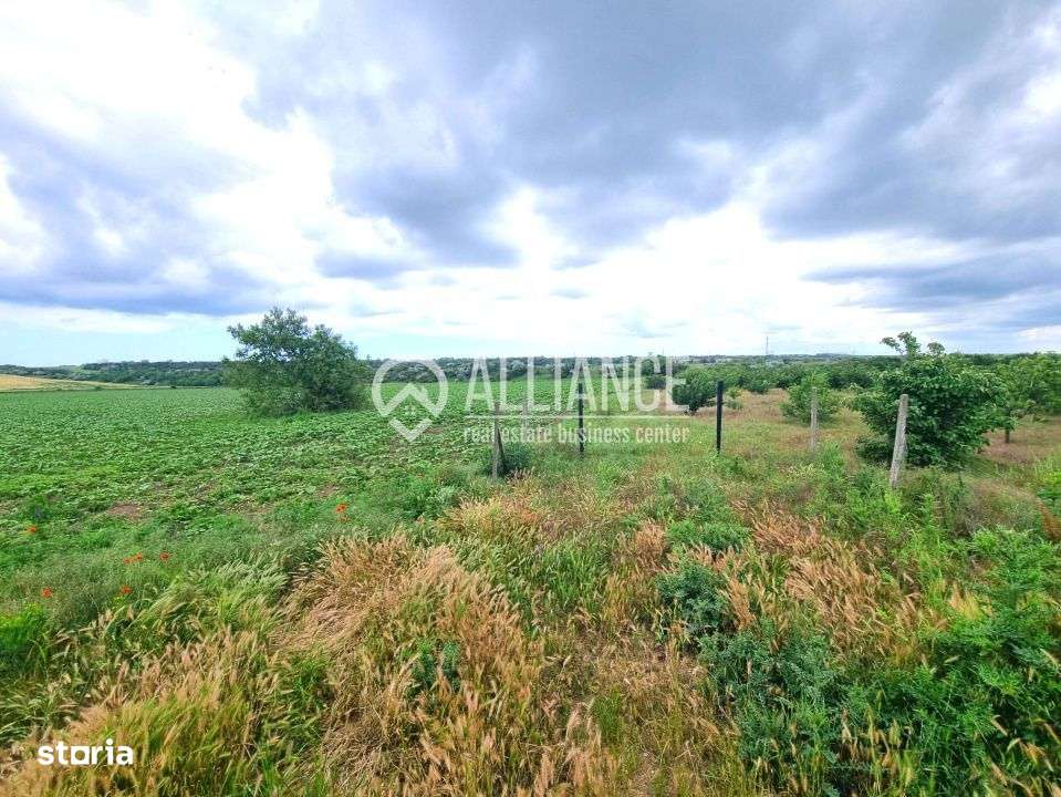 OVIDIU (COD 02)  - teren extravilan 4000 mp - Imagine principală: 5/6