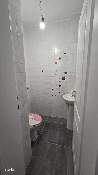 Apartament deosebit 3 camere Parcul Herastrau-17