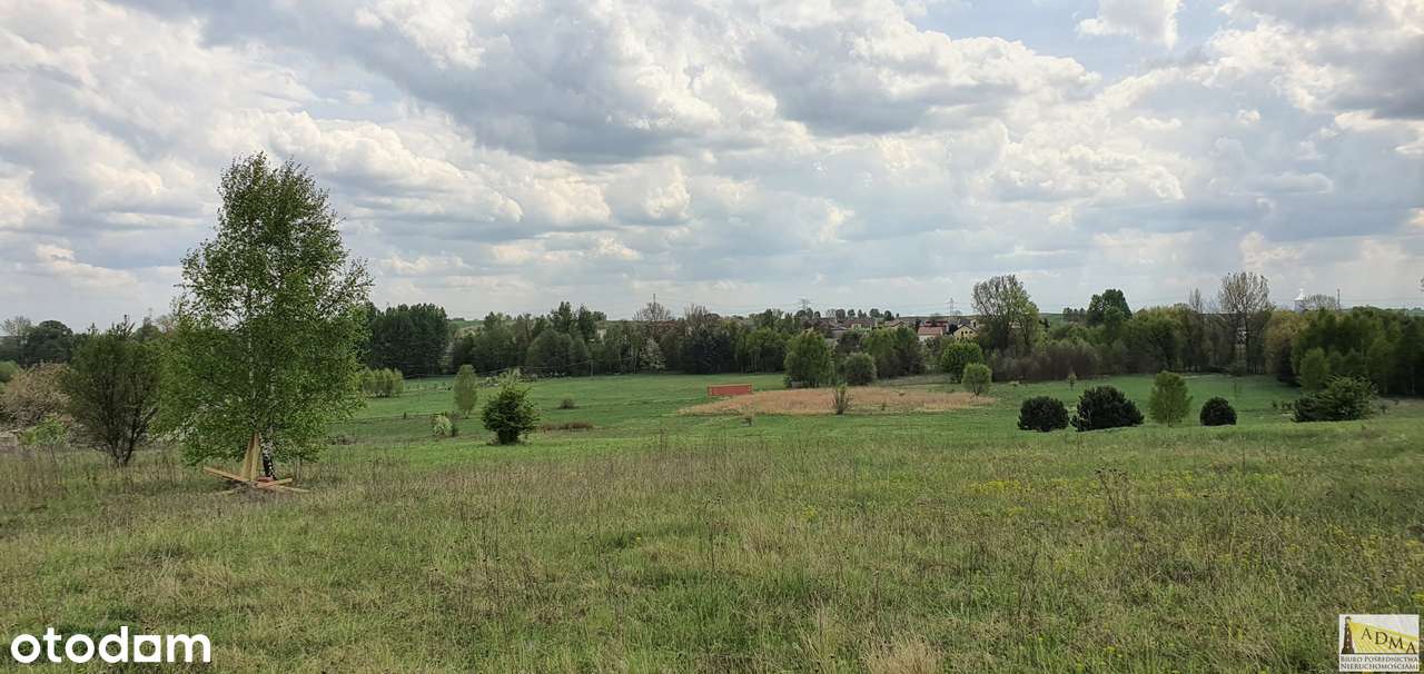 9 z 10 działek budowlanych Toporowice-0