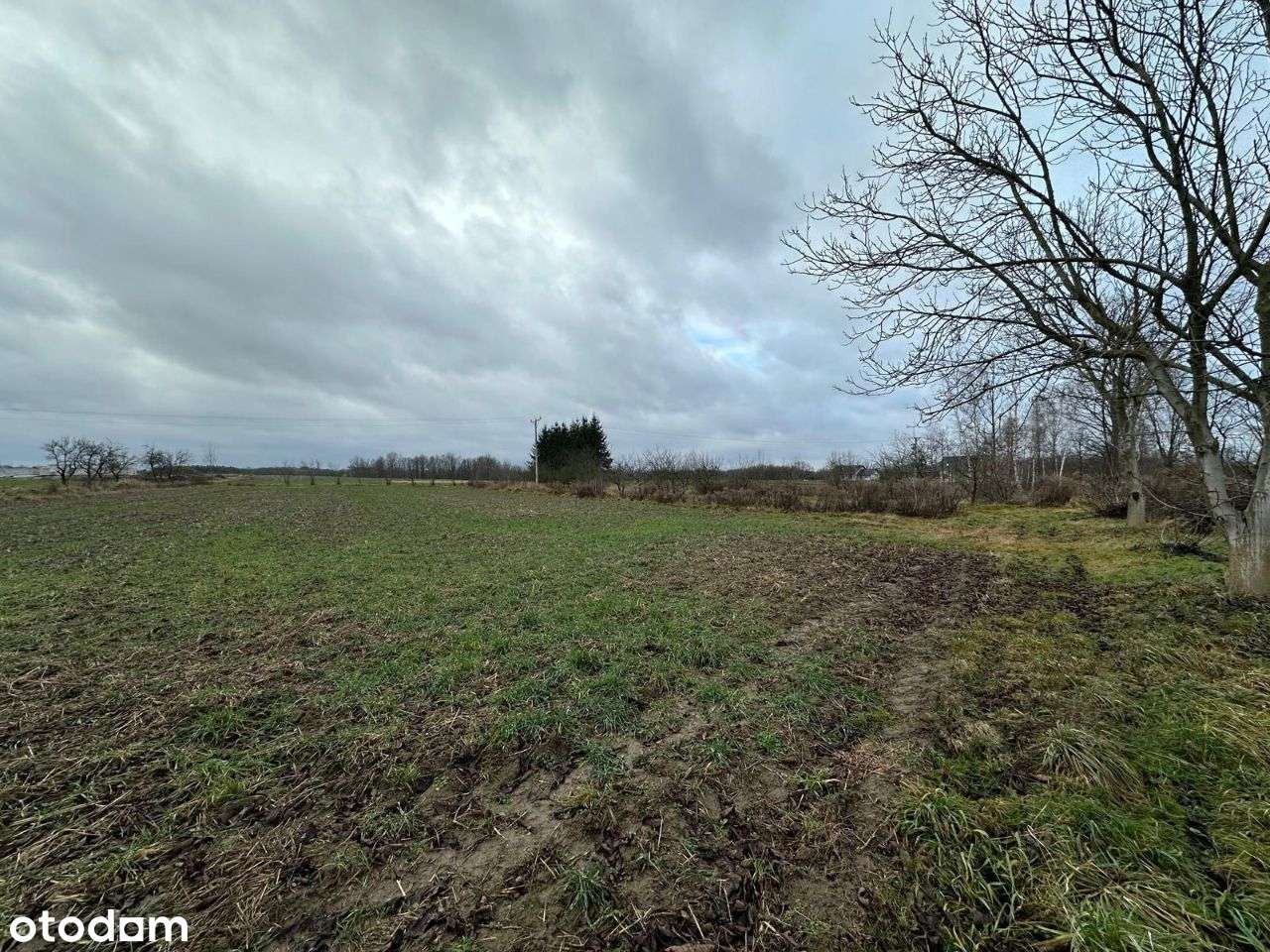 Działki budowlane w Nowogrodzcu - Pełny obrazek: 5/8