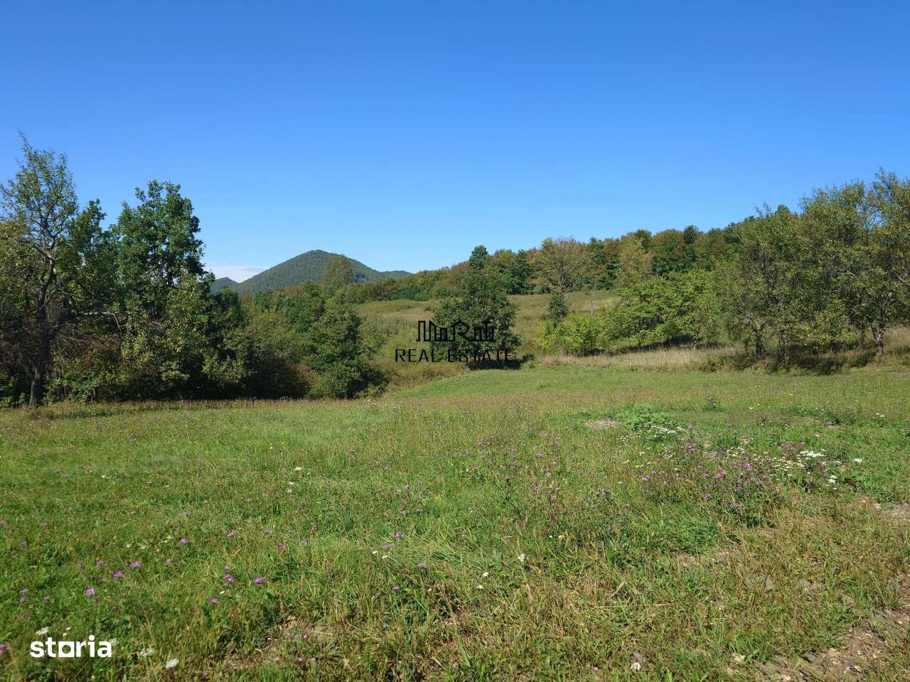 Teren intravilan 8757 mp cu potential turistic si acces direct la E79-12