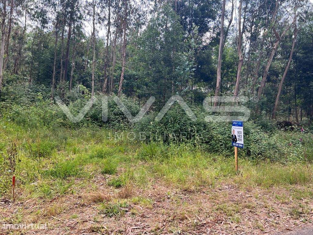 Terreno Urbano  Venda em Marrancos e Arcozelo,Vila Verde - Grande imagem: 4/7