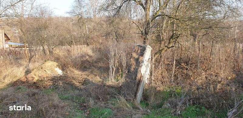 Casa cu 1035 m2 teren in Sat Fumureni, Jud. Valcea - Imagine principală: 5/7