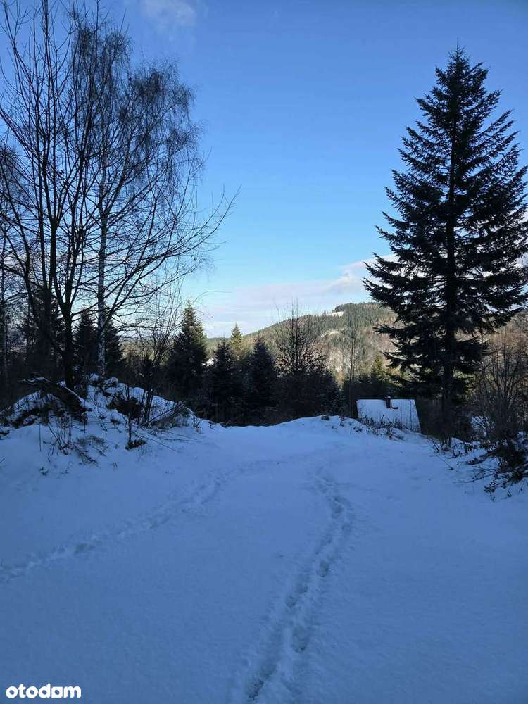 Działka (1,1ha) budowlana  z widokiem na góry z Zawoi,prąd,woda,droga-4