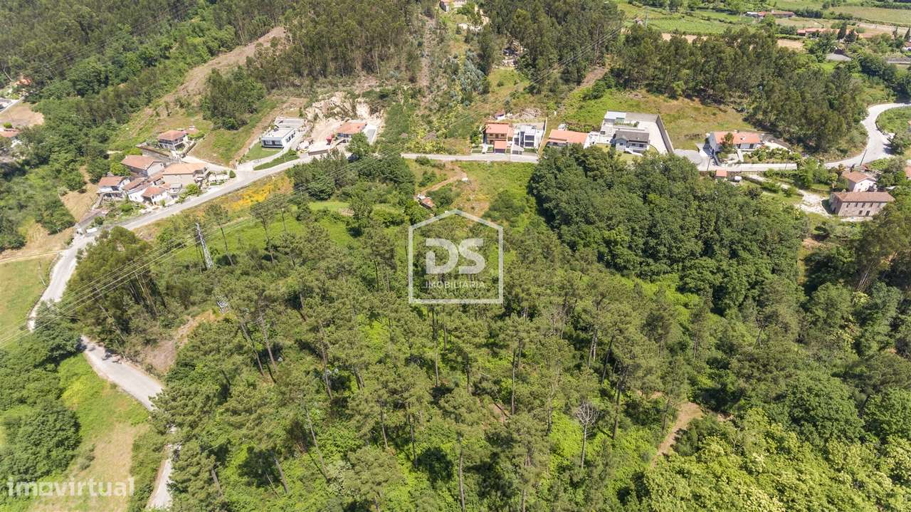 Terreno  Venda em Termas de São Vicente,Penafiel - Grande imagem: 4/13