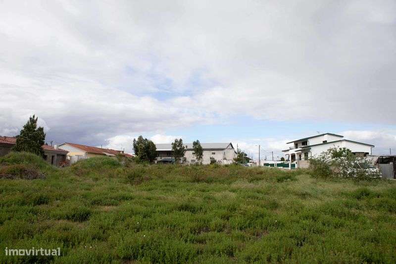 Terreno Marinha Grande - Grande imagem: 5/6