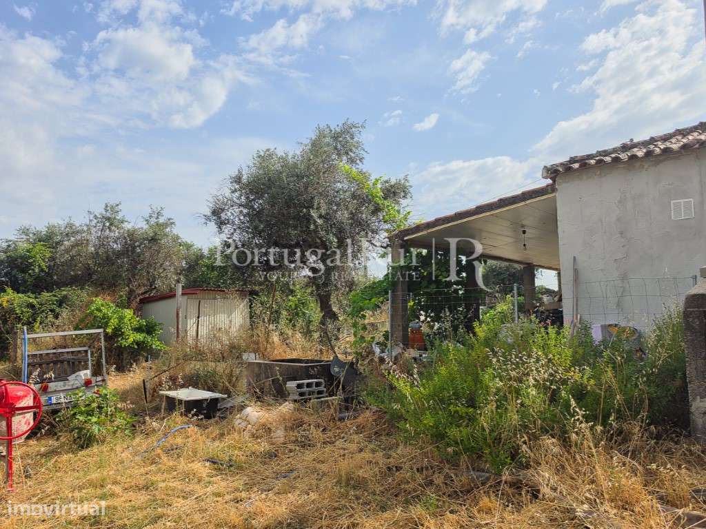 Quintinha de 1.8 hectares em Medelim-23