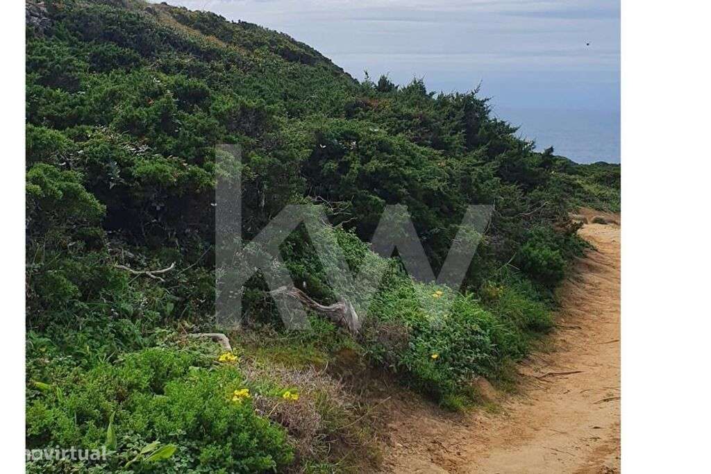 TERRENO FANTASTICA LOCALIZAÇÃO - Grande imagem: 2/7