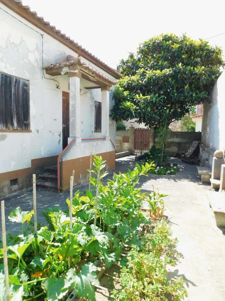 Terreno urbano (1160m2) - Costa da Caparica (São João da Caparica)-7