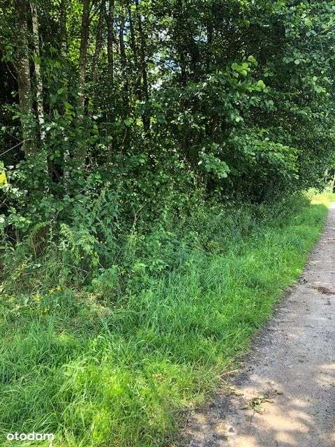 Atrakcyjna działka budowlana – Santocko - Pełny obrazek: 4/9