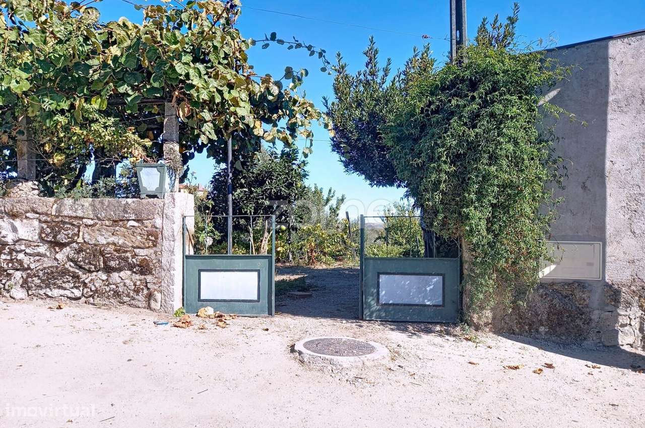 Terreno Urbanizável em Quintela da Azurara - Grande imagem: 2/21