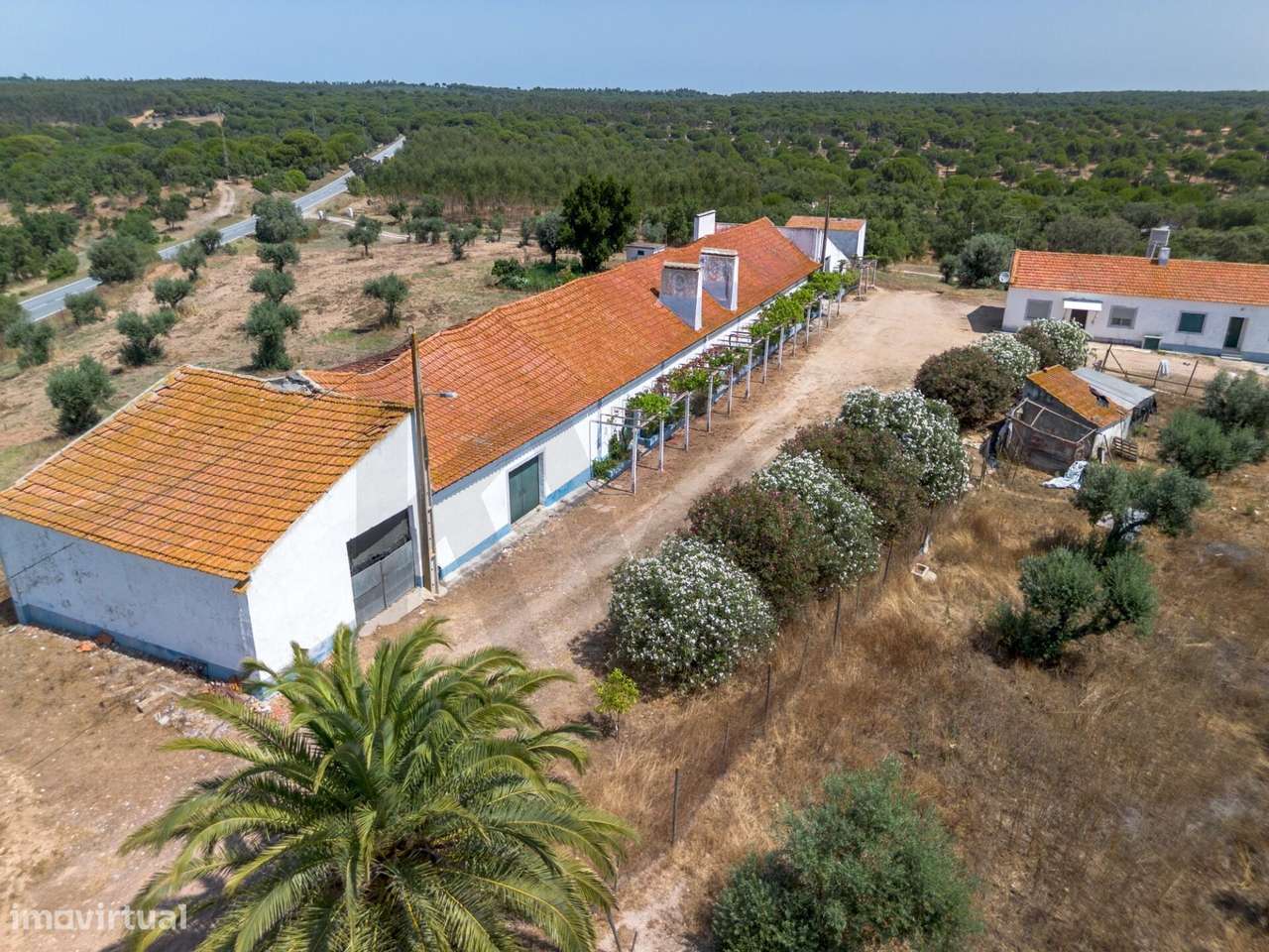 HERDADE de Vale de Alcácer, um paraíso de oportunidades e rentabilidad - Grande imagem: 4/60