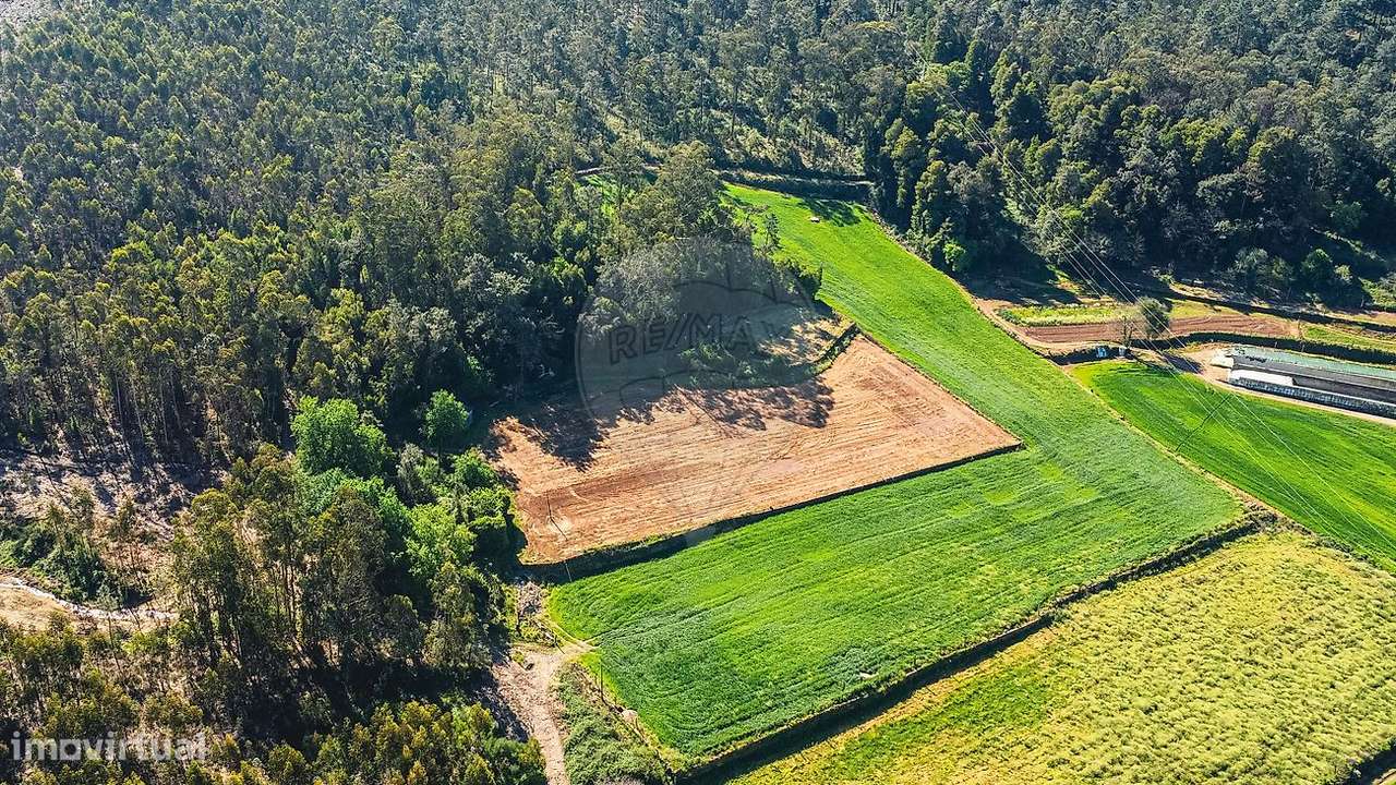 Moradia T4 para venda-10