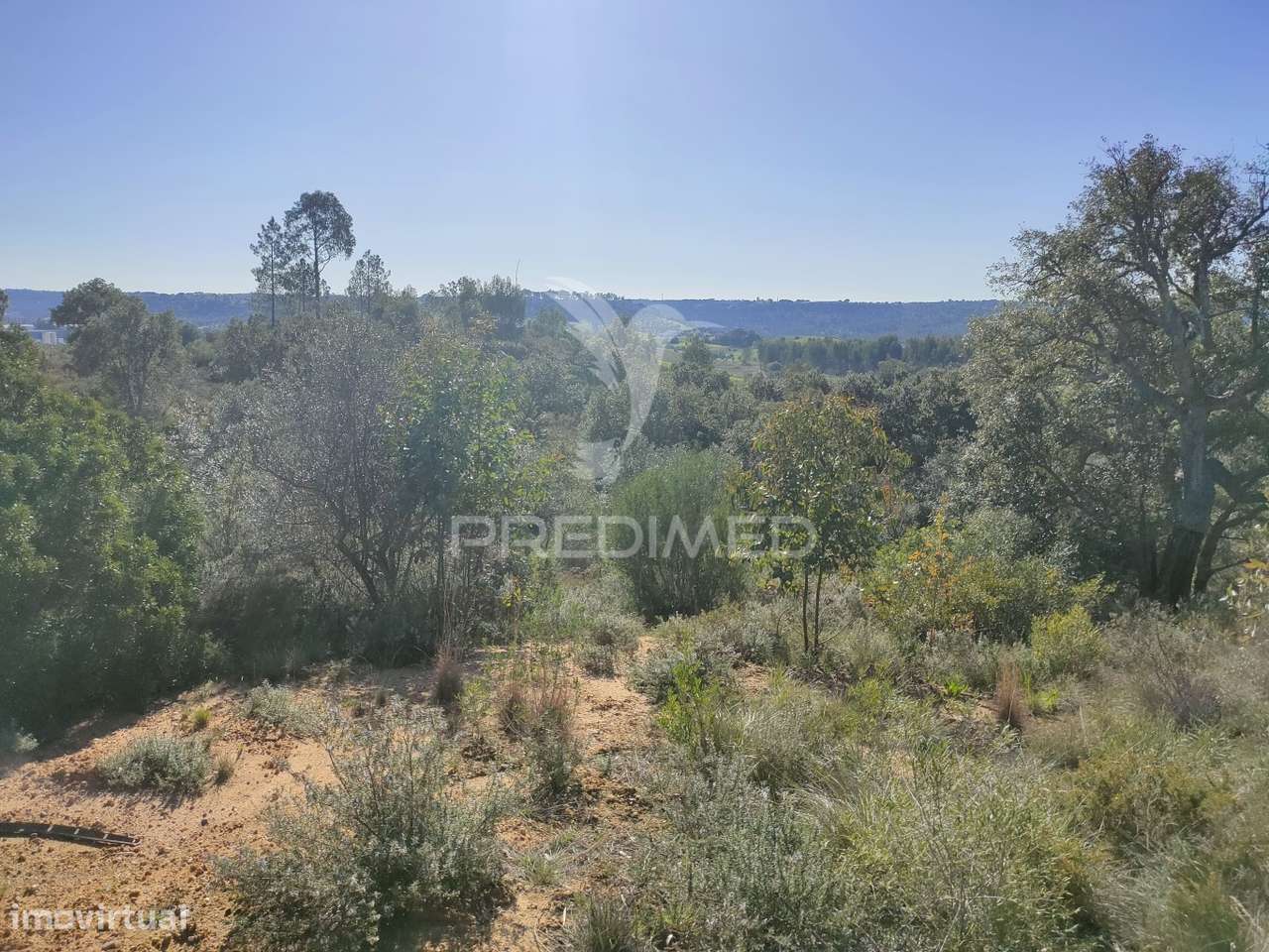 Terreno Rústico - Monsanto, Alcanena - Grande imagem: 2/9