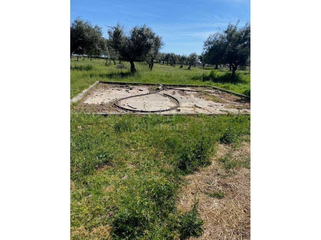 Moradia independente com 500 m2 área bruta-14