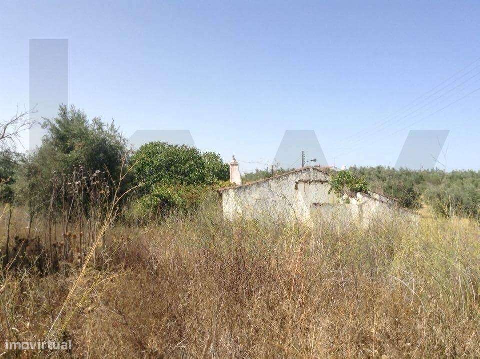 Terreno urbano fantástico, para construir moradia no Alentejo e viver - Grande imagem: 4/14