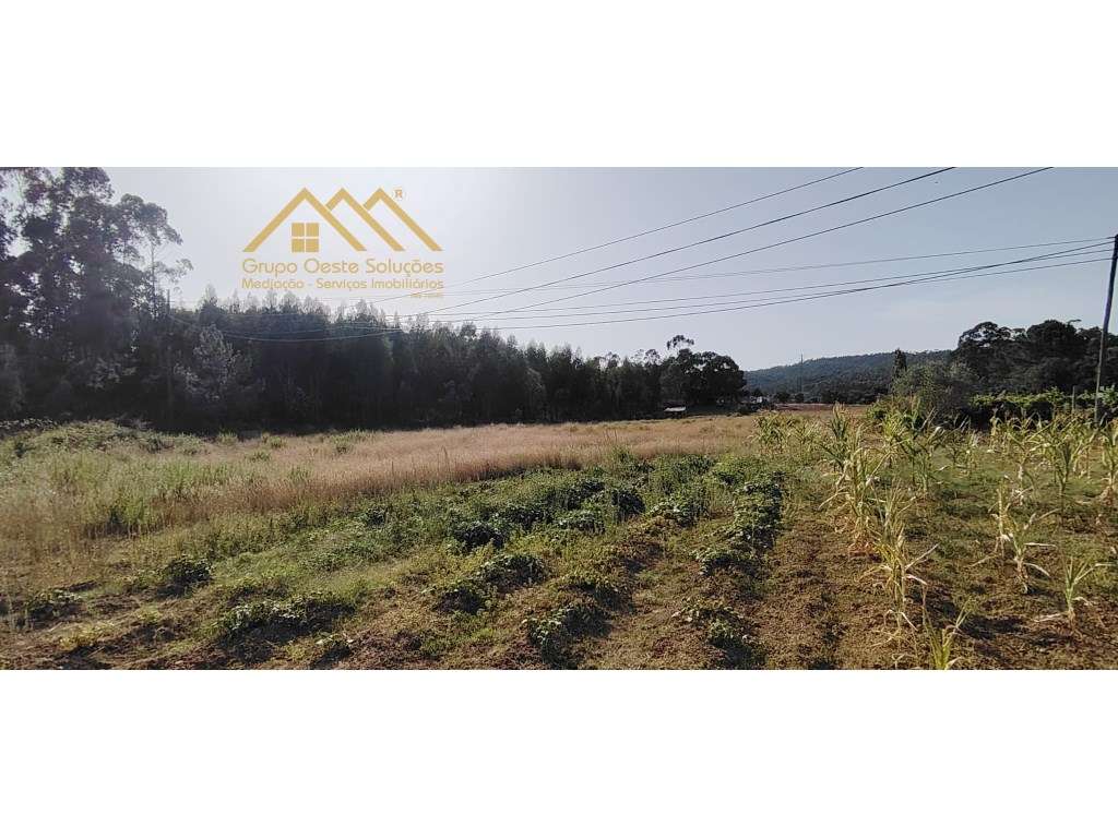 Terreno Rustico, Maxial e Monte Redondo - Grande imagem: 2/13