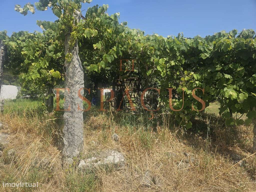 Terreno espetacular com duas Frentes em Caminha - Grande imagem: 5/11