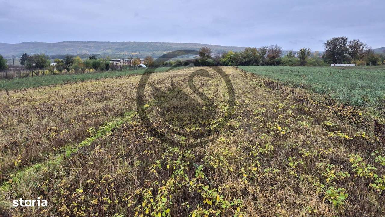 Teren intravilan de vanzare | 3.084mp | Plavia - Urlati | Comision 0% - Imagine principală: 2/4