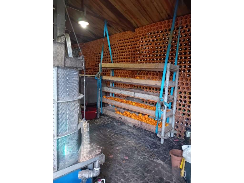 Quinta em Vila Nova de Famalicão - Gondifelos | 6.000 m² de Terreno...-49