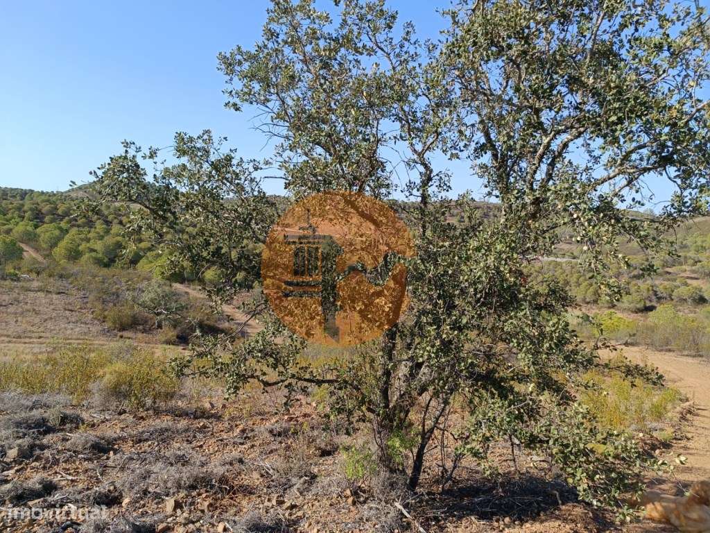 TERRENO RUSTICO COM 21.360 M2 - COM LAGO PRIVADO - VALE DO PEREIRO ... - Grande imagem: 3/37