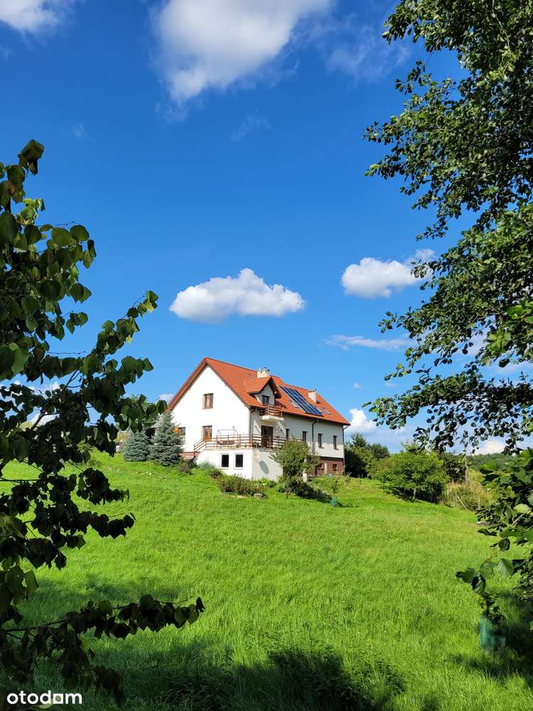 Piękny dom z winnicą - Pełny obrazek: 1/12