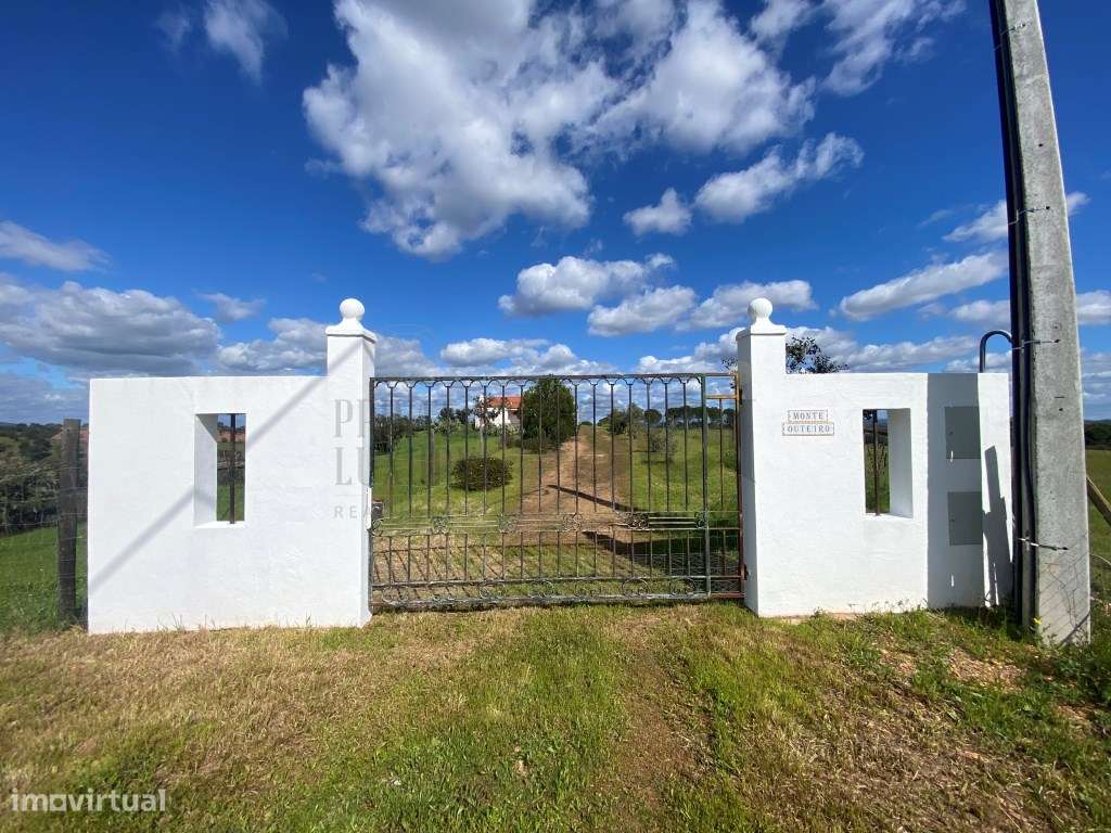 QUINTA T4, SERPA com uma vista fantástica , com duas barragens ...-48