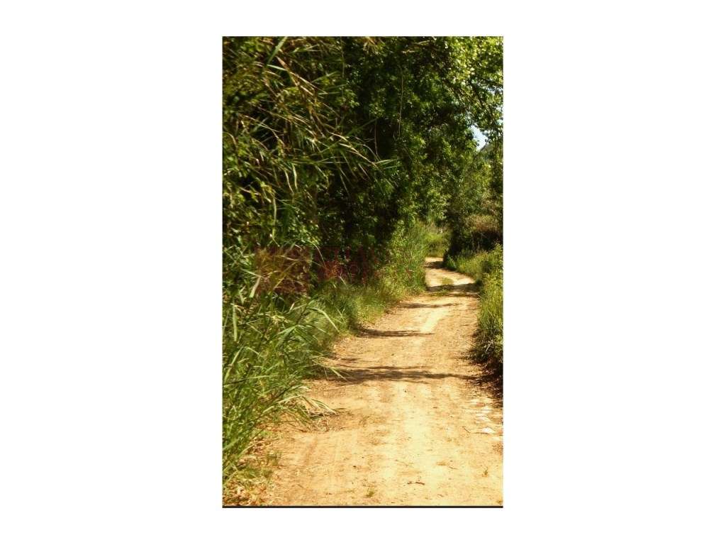 ERICEIRA -S.LOURENÇO - T2 Duplex em cima da praia - Vista dos quart...-31